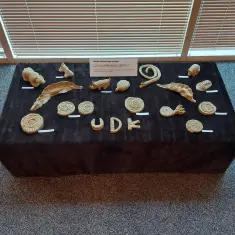 Udruga distrofičara Krapina u Muzeju krapinskih neandertalaca 12