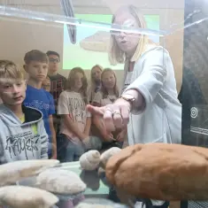 Visiting exhibition of the Vučedol Culture Museum in the Krapina Neanderthal Museum 7