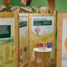 U Muzeju krapinskih neandertalaca otvorena izložba za djecu „Vijesti iz prapovijesti“ 20