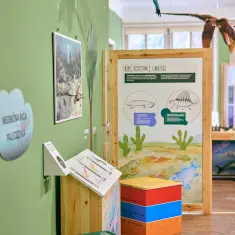 U Muzeju krapinskih neandertalaca otvorena izložba za djecu „Vijesti iz prapovijesti“ 19