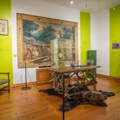 Dan Europe obilježen na Hušnjakovu i u Trakošćanu 6