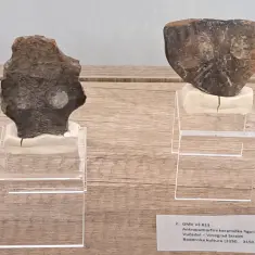 U Kumrovcu otvorena gostujuća izložba „X FILES – od prapovijesti do tradicije“ 4