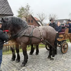 Radionice, konji i sveti Nikola privukli mnoštvo posjetitelja na završnicu programa ”Na konju u Muzeje” 3