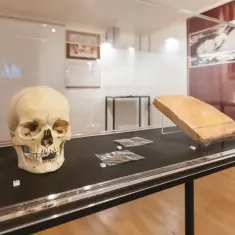 U Bledskom dvorcu otvorena izložba ”Legenda o Veroniki Desinićkoj, nematerijalno kulturno dobro” 2