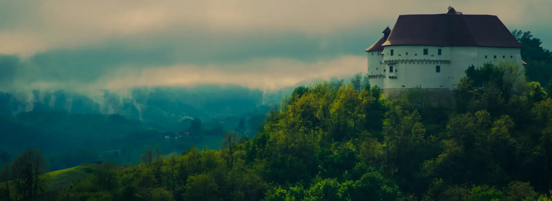 Art competition - The Legend of Veronica of Desinić