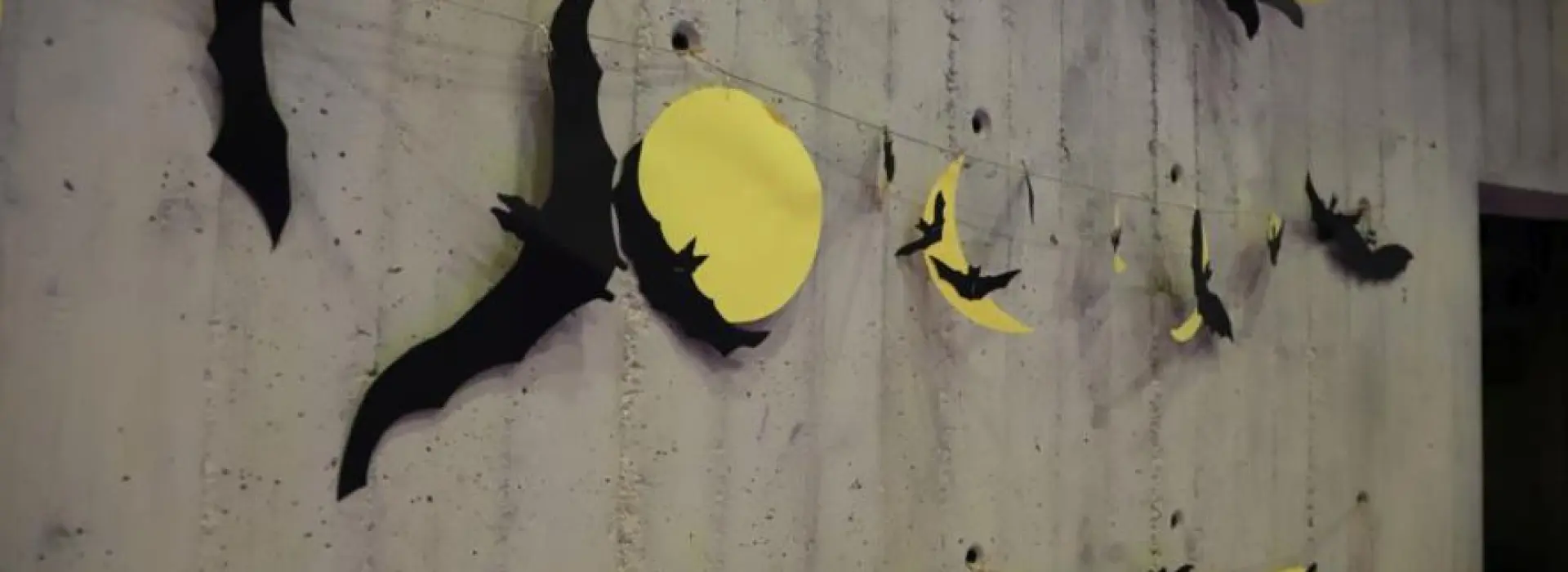 Međunarodna noć šišmiša i ove godine u Muzeju krapinskih neandertalaca