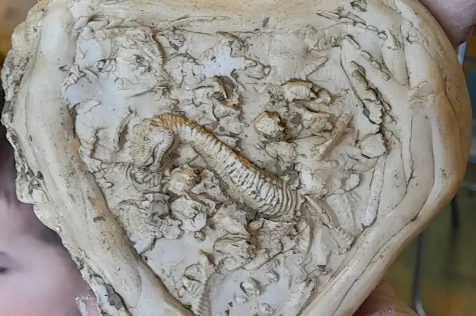 Održana radionica ”Stopama dinosaura”