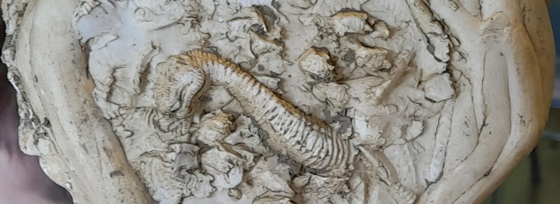 Održana radionica ”Stopama dinosaura”