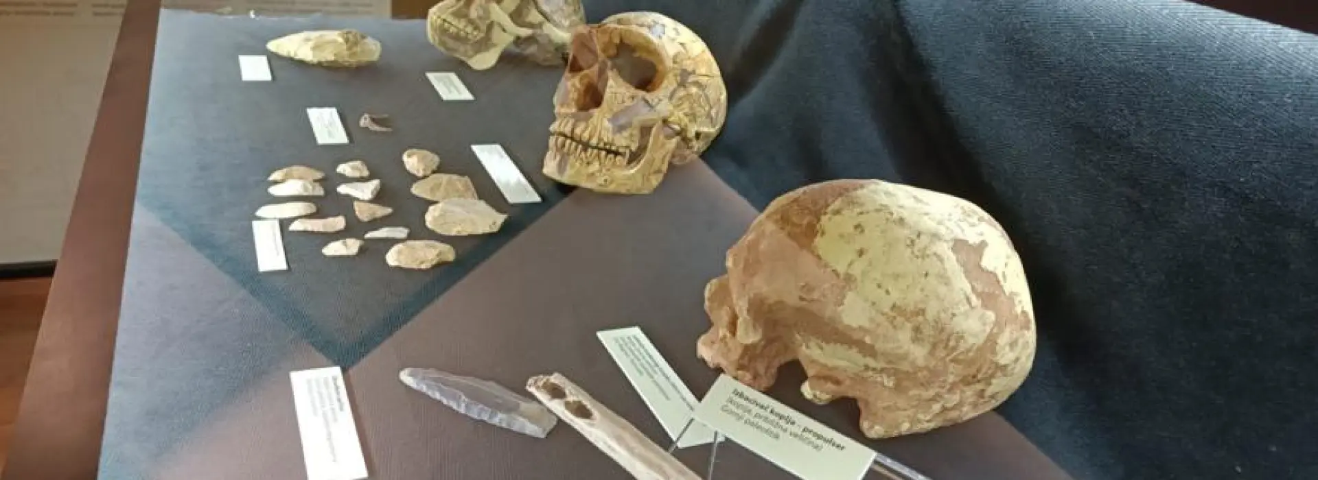 Svečano otvorena izložba ”Religije kamenog doba”